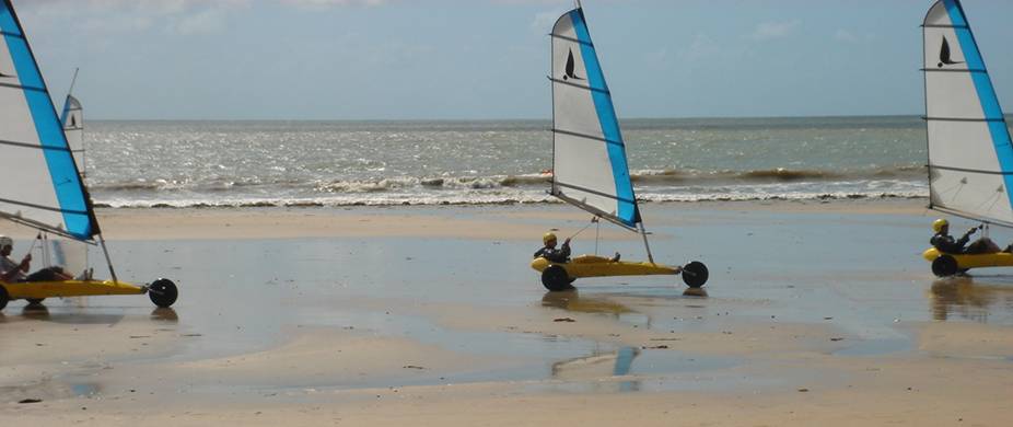 char a voile barbatre